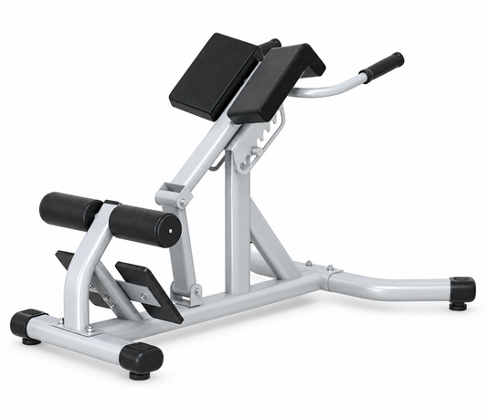 Multifunction Adjustable Roman Chair – Hyperextension & Abdominal Bench